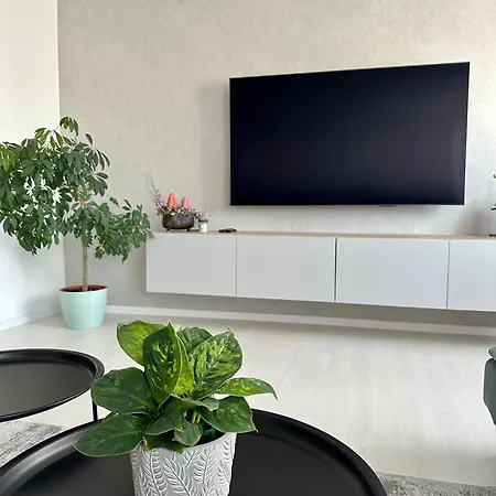 Modern In Center * 피에슈타니