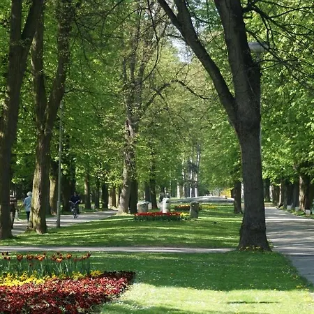 Apartament Modern In Center *